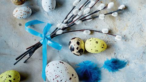 Phoenix Press kompozycja do magazynu Pyszne Wielkanoc