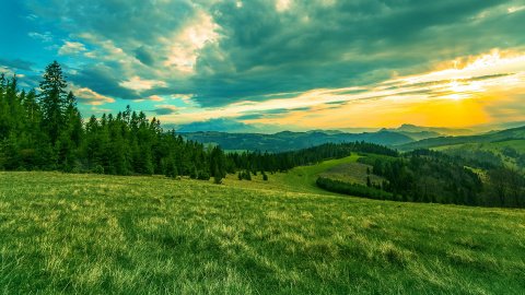 Lasy i łąki Beskidu Sądeckiego